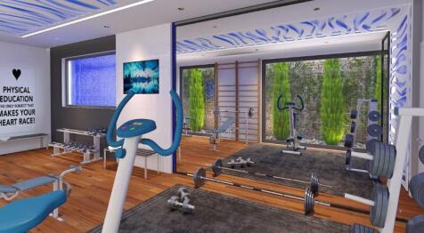 Optional Gym -...