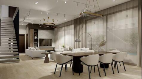 Dining/Living Area