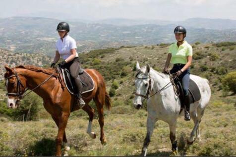 Horse Riding