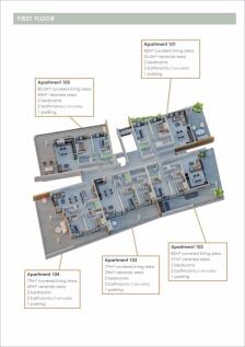1st Floor Layout