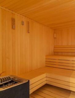 Sauna - Artist...