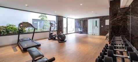 Gym - Artist...