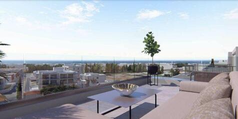 Roof terrace artist