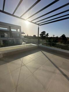 Roof Garden