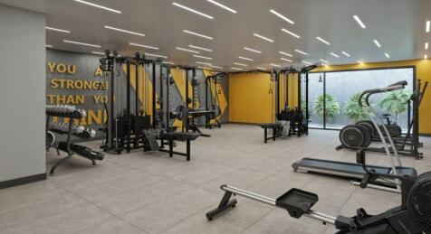 Gym - Artist...