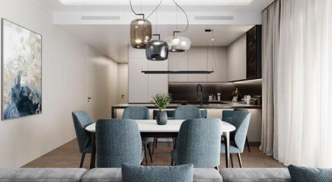 Dining/Kitchen Area