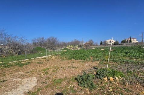 Back garden