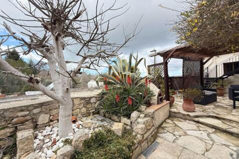 Garden area