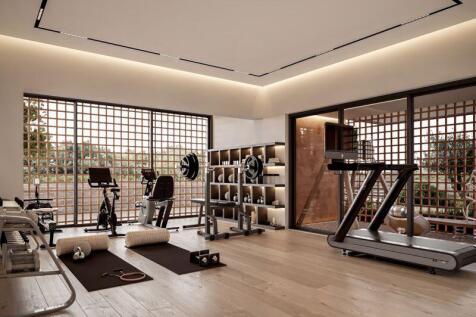 Communal Gym Example