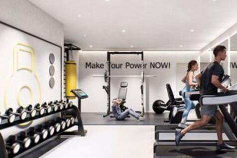 Gym - Artist...