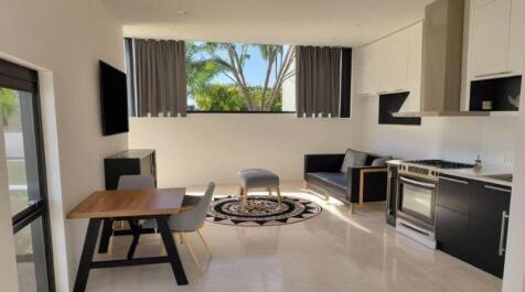 Apartment - Artist