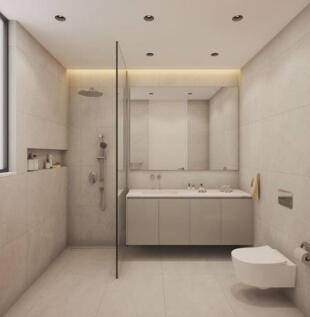 Bathroom Area -...