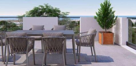 Apt 301 roof...
