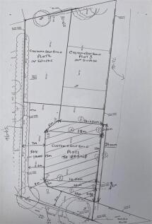 Picture2.jpg
