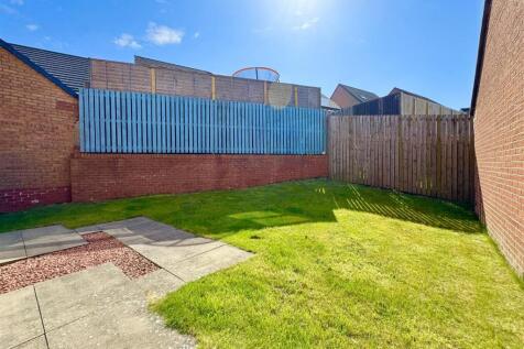 Back Garden