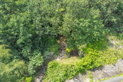 Coppice
