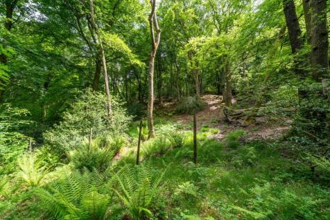 Property Image 29