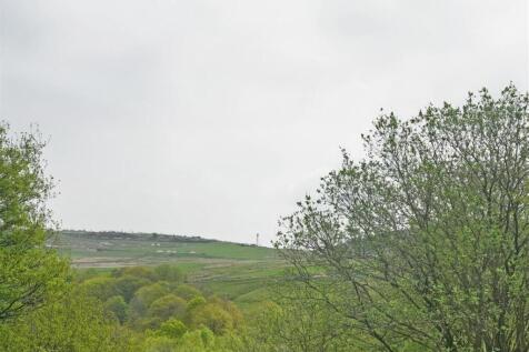 DSC05255A.jpg
