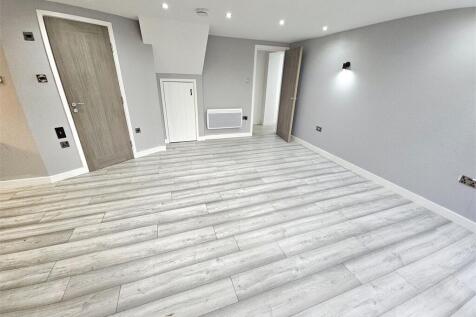Lounge/Bedroom/kitchen area