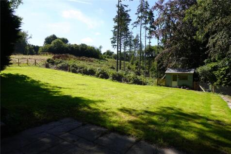 The Garden