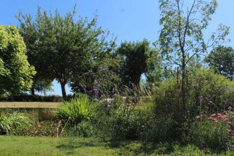 Photo 29