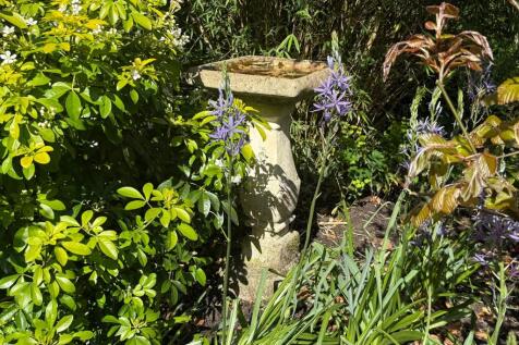 Property Image 49