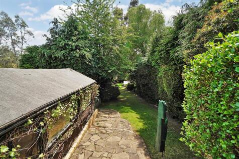 Garden.JPG