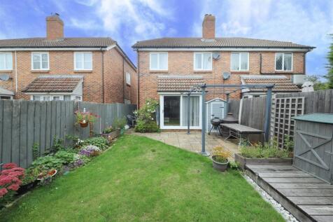 Back garden