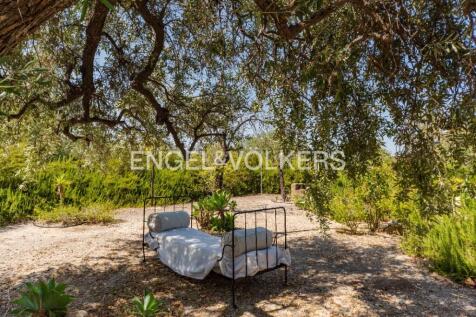 Property Image 63