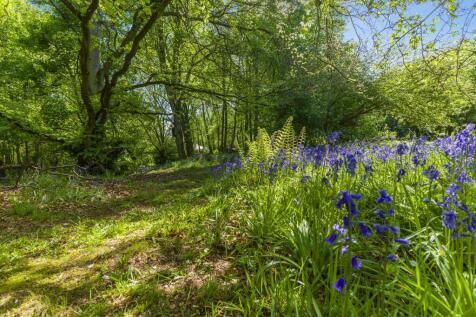 Property Image 32