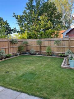 Garden 2.jpg