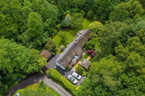 DJI_0077 2.jpg