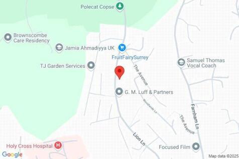 Google Maps Image