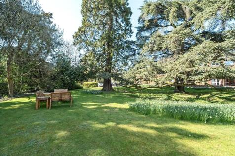 Grounds