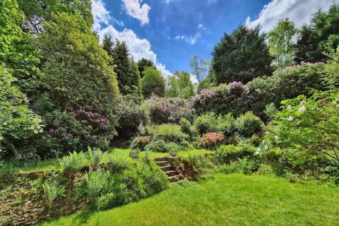 Garden 2