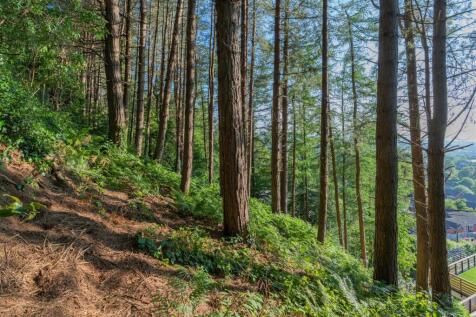 Larch Hill-171.jpg