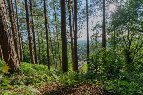Larch Hill-174.jpg