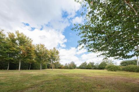 Wild Acre-057.jpg