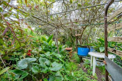 Property Image 59