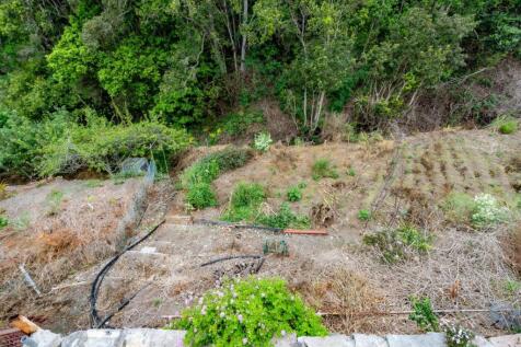Property Image 64