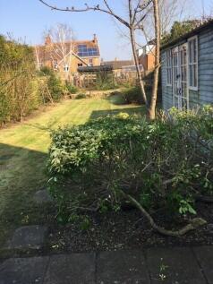 Rear garden.