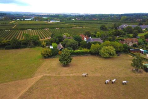 DJI_00101 - Brightened Up.jpg