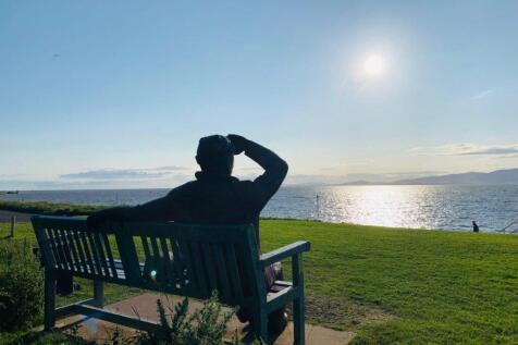 Sungazer 4.jpg