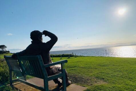Sungazer 3.jpg