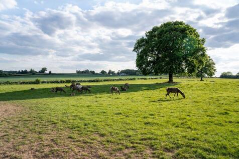 2025 Malvern View Photoshoot 273