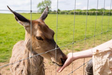 2025 Malvern View Photoshoot 001