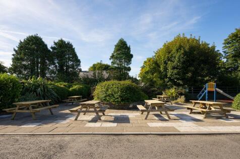 2024 Stowford Farm Meadows Devon Photoshoot (68)