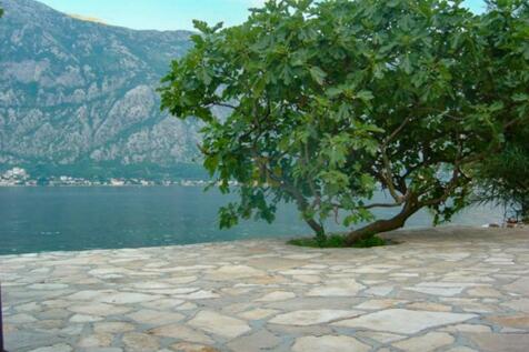 Villa_Kamelia 