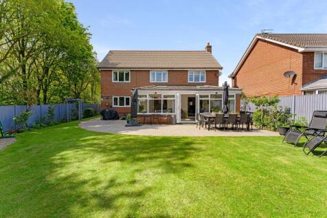 Property Image 33