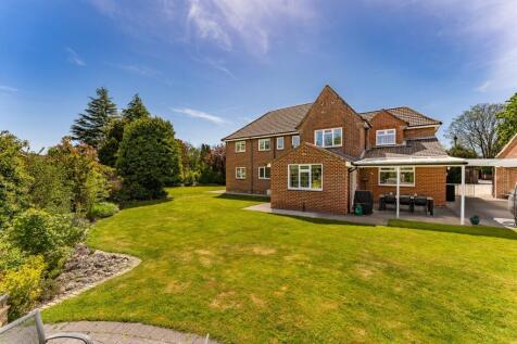 Property Image 42